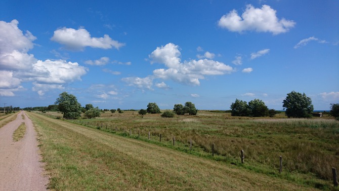 Ferienwohnung in Kabelhorst - Kripke - Fahrradtour auf dem Deich