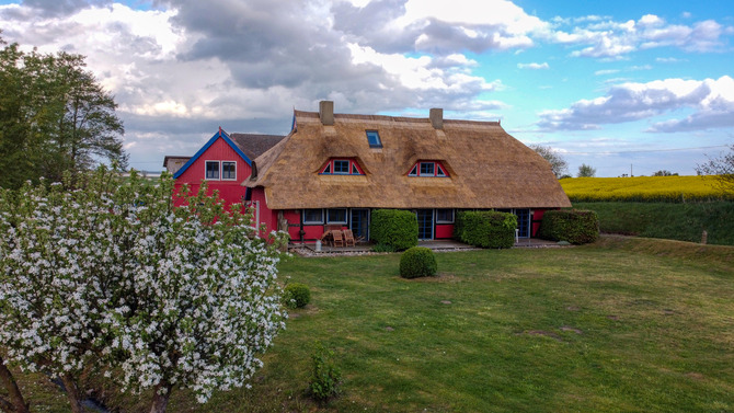 Ferienwohnung in Hohendorf - Poggenkrug - Fewo Garten