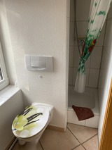 Ferienwohnung in Barkelsby - Gut Rögen - Bild 11