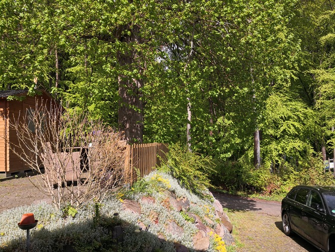 Ferienwohnung in Sassnitz - Haus zur Piratenschlucht - Blick aus der Haustür zum Nationalpark