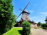 Ferienhaus in Lindau - Windmühle Lindaumühlenholz - Mühle vom Mühlengarten aus gesehen