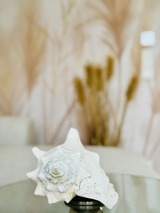 Ferienwohnung in Pruchten - Kleine M&ouml;we - Bild 11