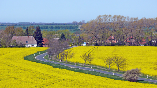 Ferienhaus in Neuenkirchen - Am Hoch Hilgor - Bild 8