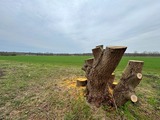 Ferienwohnung in Niederhagen - Sonne und Me(eh)r - Aussicht Feld