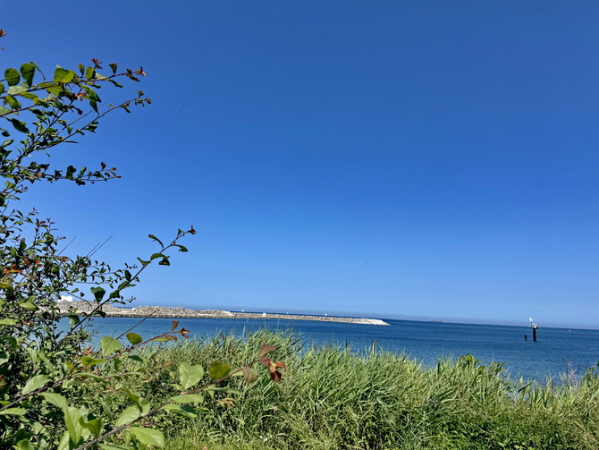 Ferienwohnung in Fehmarn OT Marienleuchte - Penthouse Seeblick - Bild 2