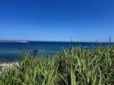 Ferienwohnung in Fehmarn OT Marienleuchte - Penthouse Seeblick - Bild 20