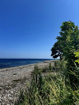 Ferienwohnung in Fehmarn OT Marienleuchte - Penthouse Seeblick - Bild 23