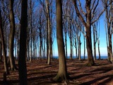 Ferienwohnung in B&ouml;rgerende - Baltic Sky - In Villa Strandperle Nr.1 - Bild 17