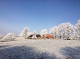 Ferienwohnung in Groß Wittensee - Hoheluft am Wittensee Apt. 3 - Bild 22