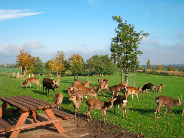 Ferienwohnung in Neu Duvenstedt - Wittensee-Blick - Bild 8