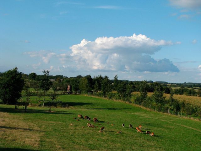 Ferienwohnung in Neu Duvenstedt - Wittensee-Blick - Bild 13