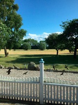 Ferienwohnung in Fehmarn OT Bisdorf - Ferienwohnung Brodda / Kerntopp - Bild 11