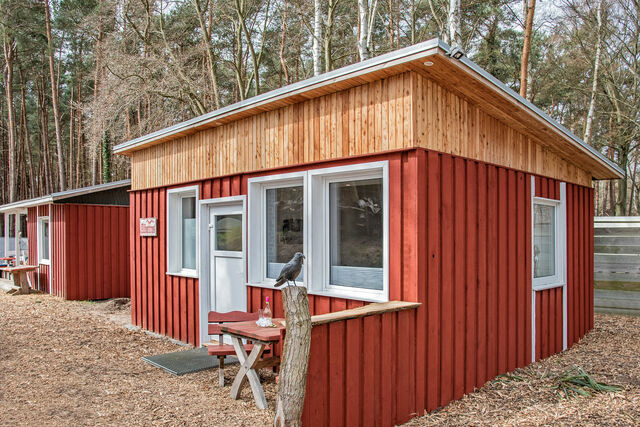 Ferienhaus in &Uuml;ckeritz - Albatros - Bild 3