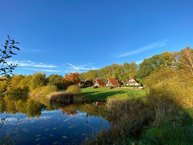 Ferienhaus in Marlow - Finnhäuser am Vogelpark - Haus Luise - Bild 16