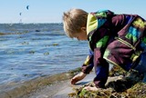 Ferienwohnung in Fehmarn - Knusthof Lafrenz - West - Bild 15