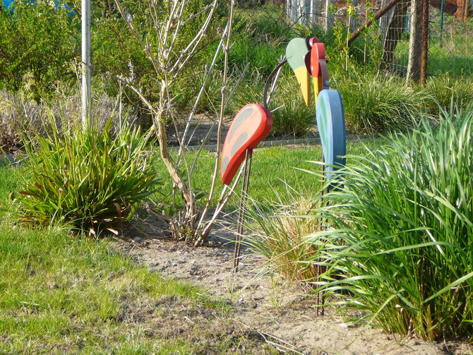 Ferienwohnung in Wieck a. Darß - Aalreuse 2 - Blick in den Garten