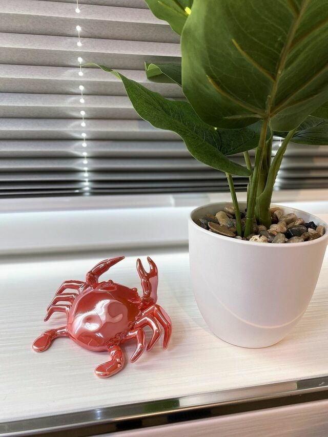 Ferienwohnung in Hohwacht - Meeresblick " Fr&auml;ulein Krabbe " Haus 3 WE 40 - Bild 24