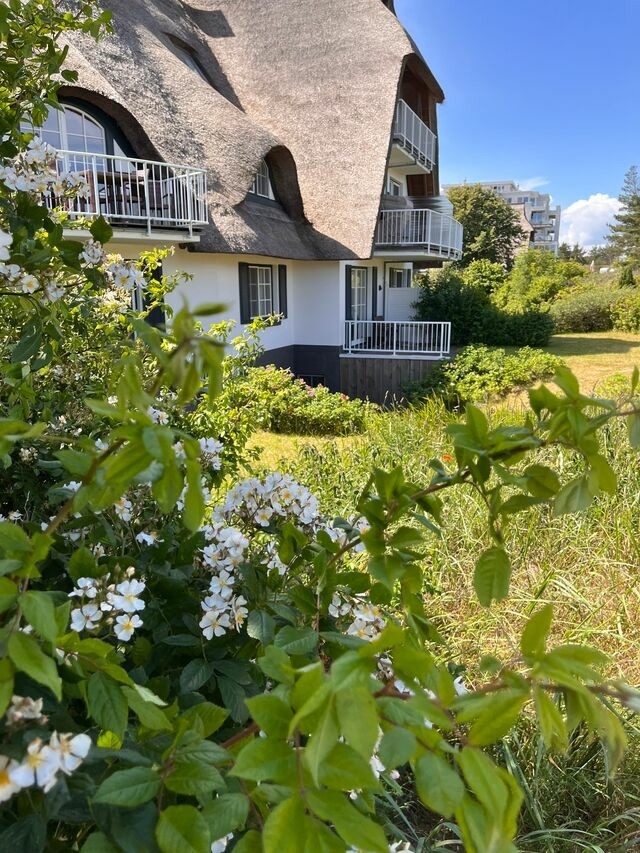 Ferienhaus in Dierhagen - Dünenmeer Ferienhäuser - Bild 21