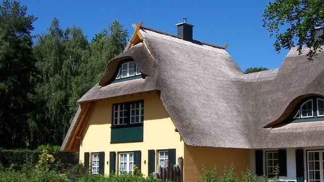 Ferienhaus in Dierhagen - Reetgedecktes Ferienhaus - Bild 20