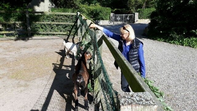 Ferienwohnung in Fehmarn - Ferienwohnung "Rosenrot" auf dem Ferien + Bauernhof Nilson in Inselmitte - Bild 10