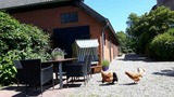 Ferienwohnung in Fehmarn - Ferienwohnung "Rosenrot" auf dem Ferien + Bauernhof Nilson in Inselmitte - Bild 19