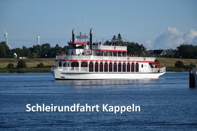 Ferienhaus in Kappeln - Schleibungalow Nr.15 zw. Ostsee und Schlei - Bild 21