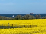 Ferienwohnung in Ostseebad Nienhagen - Seeblick 1a OG - Bild 3