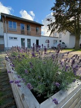 Ferienwohnung in Ostseebad Nienhagen - Seeblick 1b EG - Bild 22