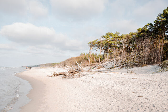 Ferienhaus in Ahrenshoop - Ostseeperle - Bild 7
