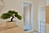 Ferienwohnung in Dahme - Rosel`s Traumhaus Fewo 4 - Bild 20