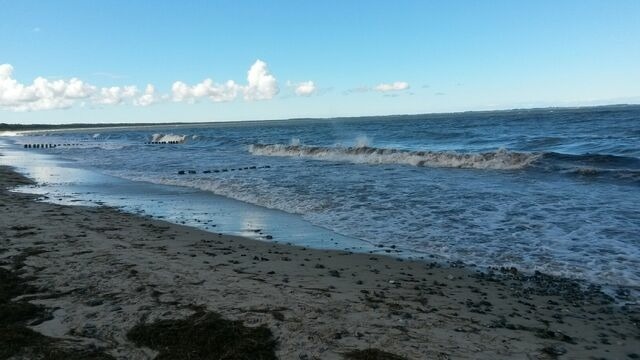 Ferienhaus in Glowe - Schwarze Perle - Glowe - Bild 23