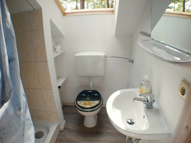 Ferienhaus in Baabe - Hagebutte - Baabe - Bild 11