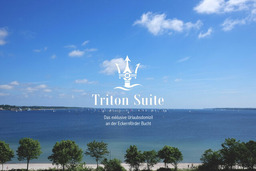 Triton Suite