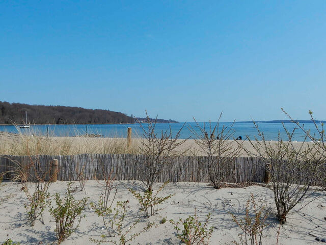 Ferienwohnung in Harrislee - Appartement Fördeblick am Strand von Wassersleben / App. 631 - Bild 15