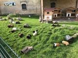 Ferienwohnung in Fehmarn OT Staberdorf - Tenne 5, inkl. 1 Parkplatz - Bild 20