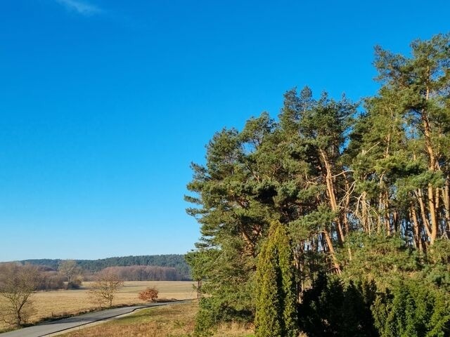 Ferienwohnung in Lütow - Ferienhaus Köhler Am Walde incl. Bootsvermietung - Bild 12