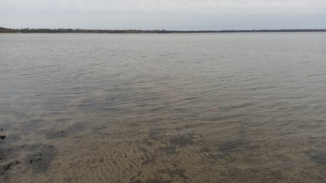 Bungalow in Hohenkirchen - direkt am Wasser ""Küstenperle"mit Meerblick und Sauna - Bild 25