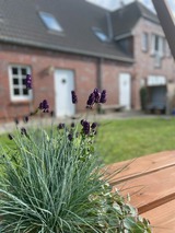 Ferienwohnung in Fehmarn OT Wulfen - Max Bienenwachs - Bild 25