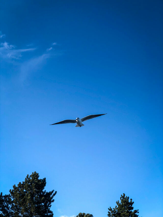 Ferienhaus in Gl&uuml;cksburg - Ferienhaus Seeadler 32 - Bild 23