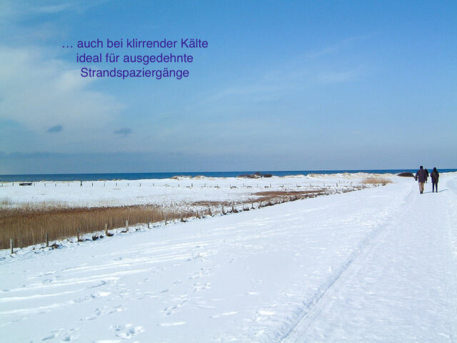 Ferienwohnung in Wendtorf - Ap. K&uuml;stenliebe - Haus Nordlichter - Bild 24