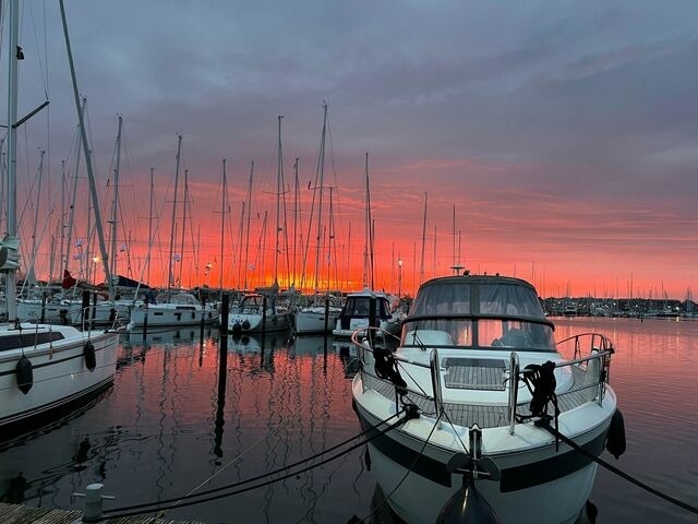 Ferienhaus in Heiligenhafen - STERN V - Stern Hausboot - Bild 3