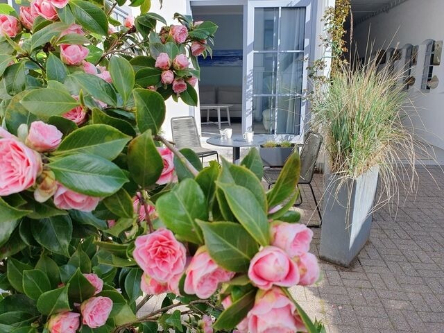 Ferienwohnung in Kappeln - Kappeln 336 - Bild 3