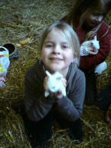 Ferienwohnung in Gr&ouml;mitz - Alter Pferdestall - Bild 13