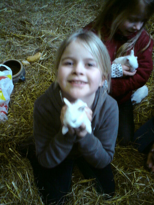 Ferienwohnung in Gr&ouml;mitz - Alter Pferdestall - Bild 13