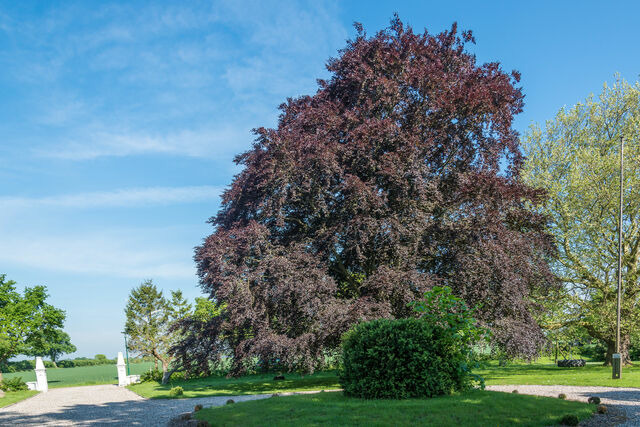 Ferienwohnung in Gr&ouml;mitz - Alter Pferdestall - Bild 15