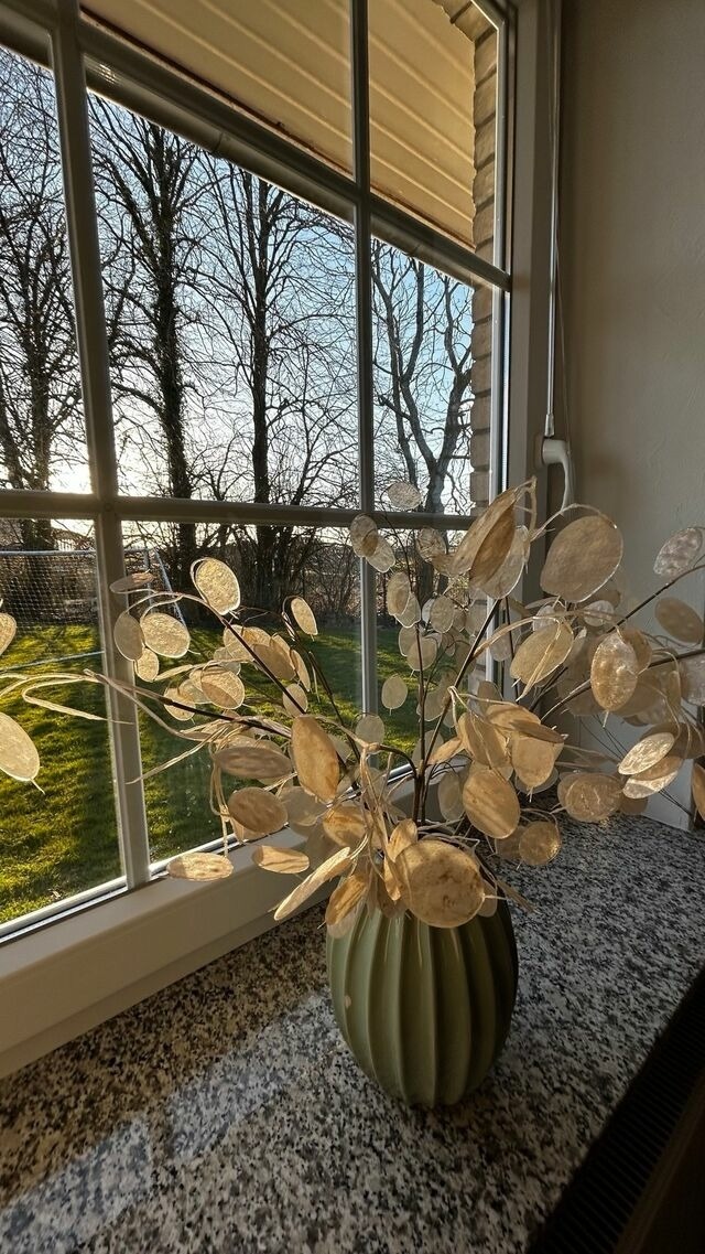 Ferienhaus in Rabenkirchen-Faul&uuml;ck - Ferienhaus Ute - Bild 10