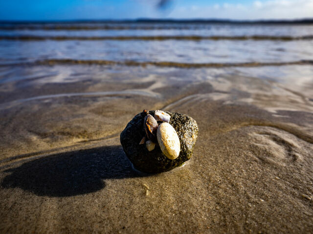 Ferienwohnung in Gl&uuml;cksburg - Ferienwohnung Sailing - Bild 15