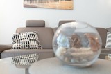 Ferienwohnung in Scharbeutz - Strandvilla Augustusbad Ostseeparadies - Bild 7