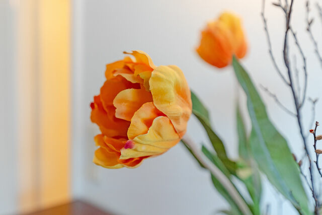 Ferienwohnung in Scharbeutz - Appartementhaus Terrassenh&uuml;gel Strandh&uuml;pfer - Bild 17