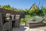 Ferienhaus in Dahme - Austernfischer - Bild 4
